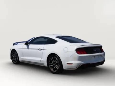 Another view of 2019 Ford Mustang EcoBoost Premium Coupe 2D for sale in El Paso, TX at Torresdey Motors Alameda