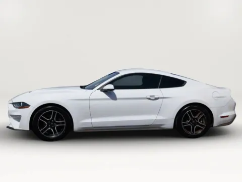Photos of 2019 Ford Mustang EcoBoost Premium Coupe 2D for sale in El Paso, TX at Torresdey Motors Alameda