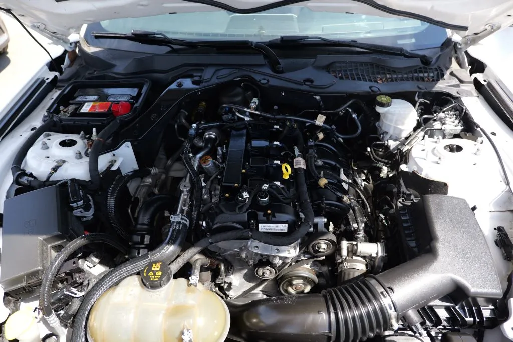 Ford Mustang photo 13