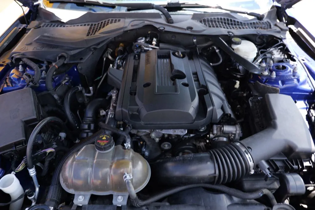 Ford Mustang photo 13