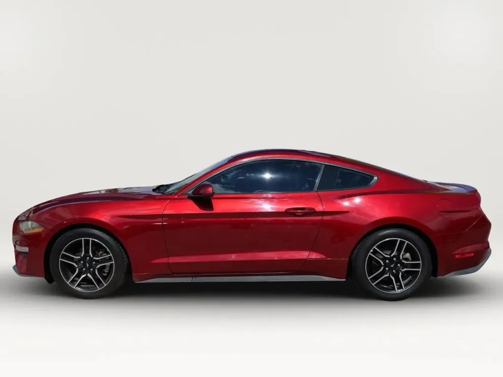 Ford Mustang photo 2