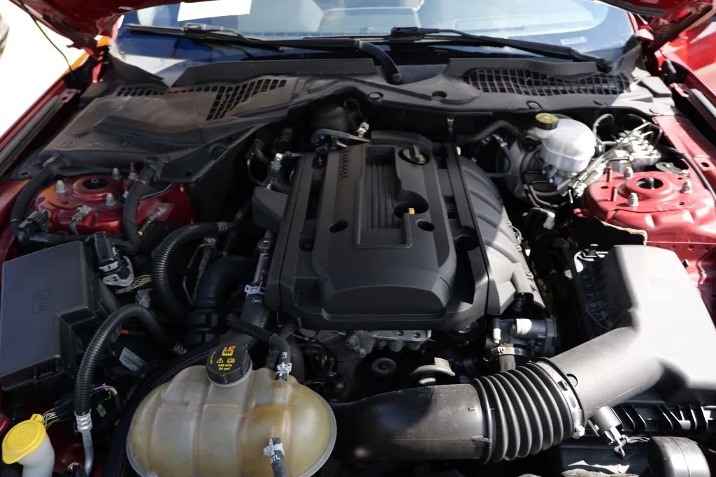 Ford Mustang photo 13