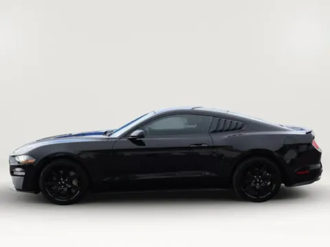 Photos of 2019 Ford Mustang GT Coupe 2D for sale in El Paso, TX at Torresdey Motors Alameda