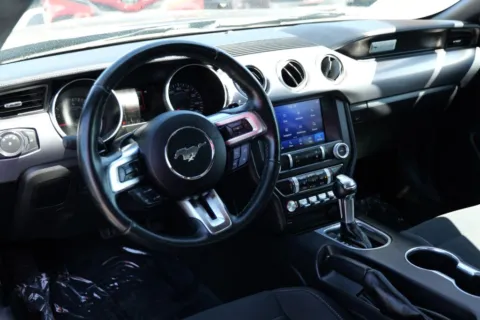 More photos of 2019 Ford Mustang EcoBoost Coupe 2D at Torresdey Motors Alameda, TX