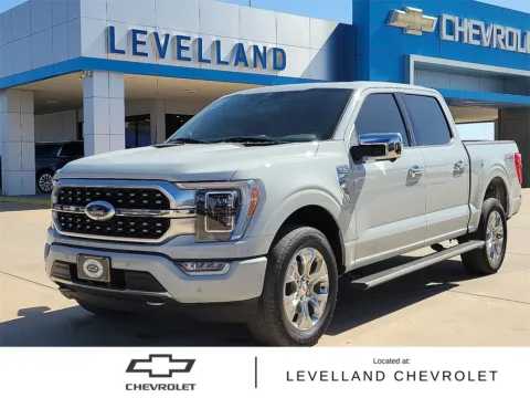 Gray 2023 Ford F-150 Platinum for sale in Levelland, TX