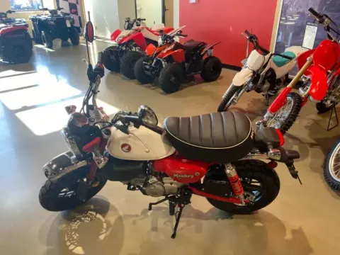 More photos of 2025 Honda Monkey ABS at Dell's Honda Powerhouse, MO