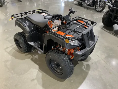 Photos of 2025 Kayo Bull 150 EFI for sale in Grain Valley, MO at Dell's Powersports