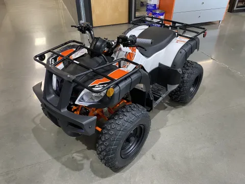 More photos of 2025 Kayo Bull 150 EFI at Dell's Powersports, MO