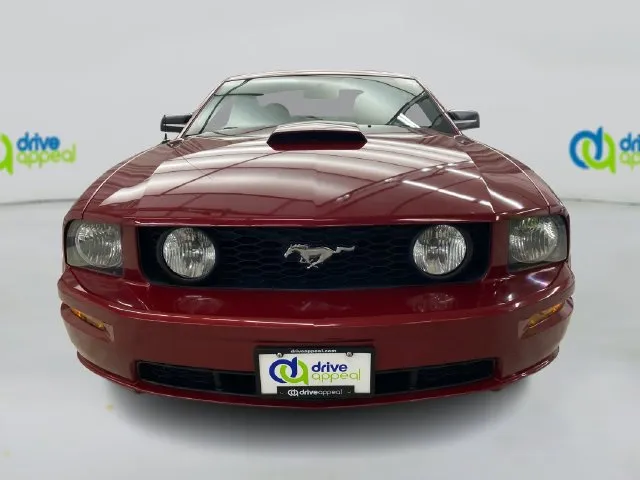 Ford Mustang photo 15