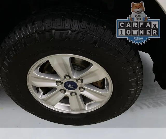 Ford F-150 photo 19