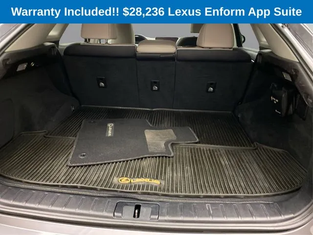 Lexus RX photo 15