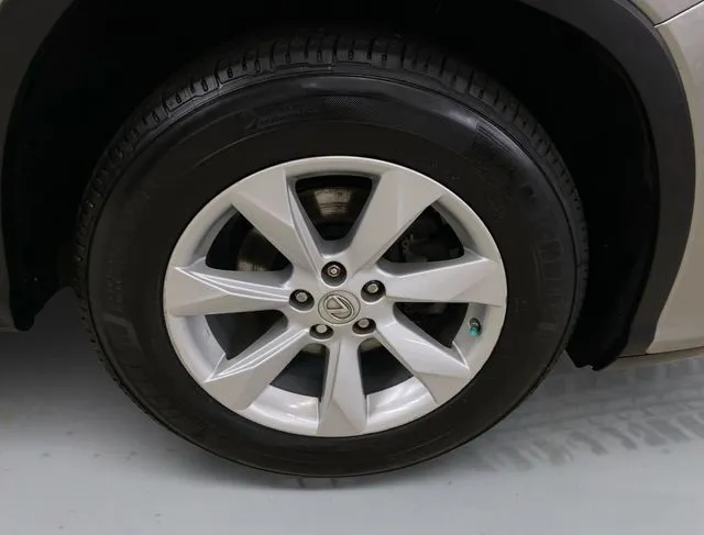 Lexus RX photo 17