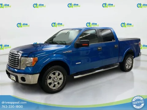 Blue 2012 Ford F-150 XLT for sale in Anoka, MN