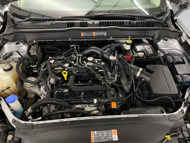 Ford Fusion photo 11