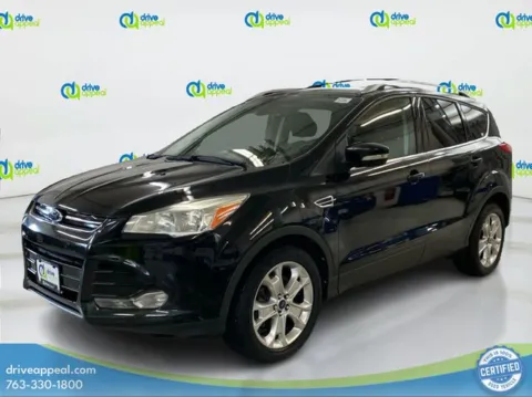 Gray 2014 Ford Escape Titanium for sale in Anoka, MN