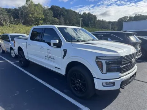 White 2024 Ford F-150 Platinum for sale in Danville, VA