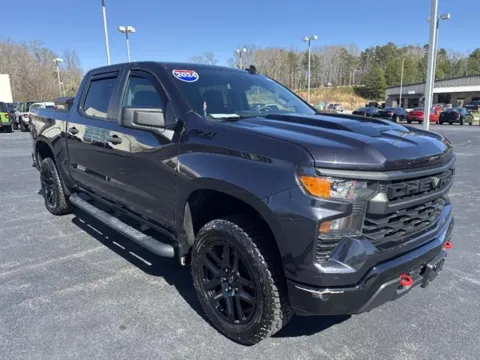Gray 2024 Chevrolet Silverado 1500 Custom Trail Boss for sale in Danville, VA