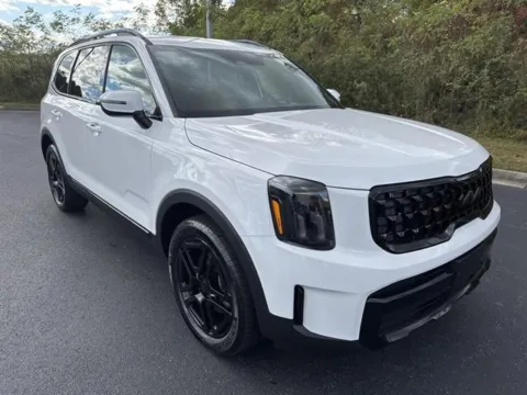 Silver 2026 Kia Carnival SX for sale in Danville, VA