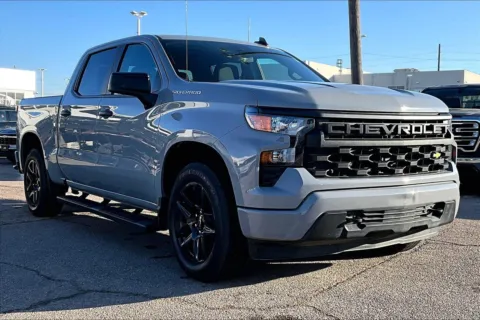 Gray 2024 Chevrolet Silverado 1500 Custom for sale in Topeka, KS