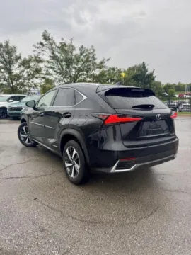 Another view of 2020 Lexus NX 300h for sale in Lee's Summit, MO at Cable Dahmer Kia of Lee's Summit