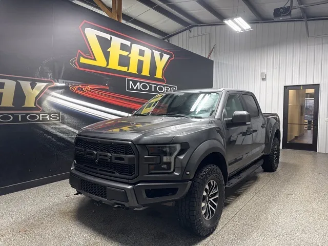 Gray 2019 Ford F-150 Raptor for sale in Mayfield, KY