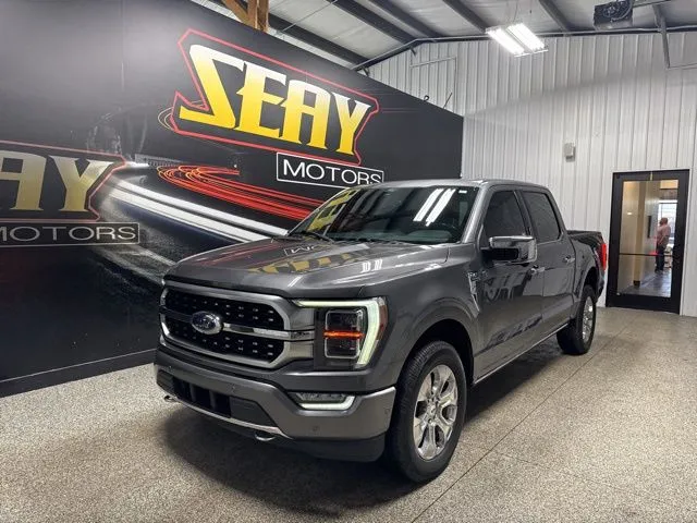 Gray 2022 Ford F-150 Platinum for sale in Mayfield, KY