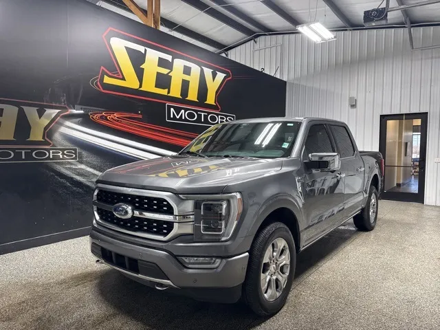 Gray 2022 Ford F-150 Platinum for sale in Mayfield, KY