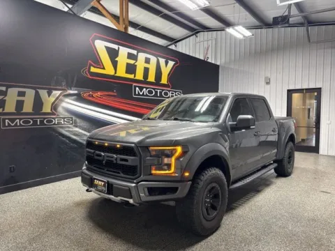 Gray 2018 Ford F-150 Raptor for sale in Mayfield, KY