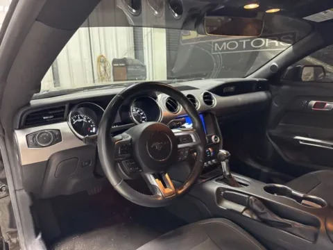 More photos of 2023 Ford Mustang GT at Seay Motors, KY