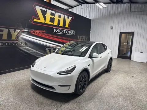 2021 Tesla Model Y Long Range for sale in Mayfield, KY