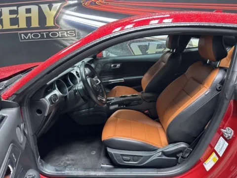 More photos of 2023 Ford Mustang EcoBoost Premium at Seay Motors, KY