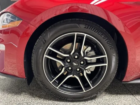More photos of 2023 Ford Mustang EcoBoost Premium at Seay Motors, KY