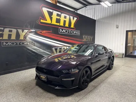 Purple 2022 Ford Mustang EcoBoost Premium for sale in Mayfield, KY