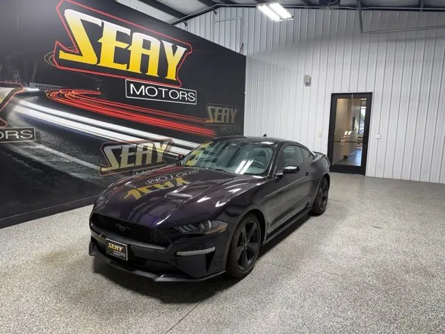 Purple 2022 Ford Mustang EcoBoost Premium for sale in Mayfield, KY