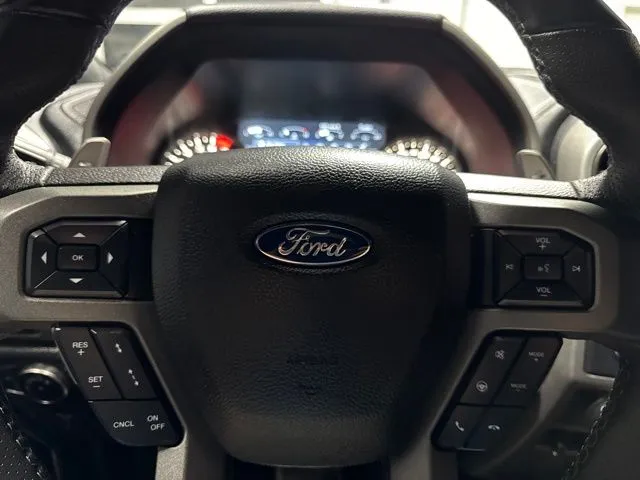 2020 Ford F-150 Raptor - Photo 15