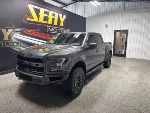 Gray 2019 Ford F-150 Raptor for sale in Mayfield, KY