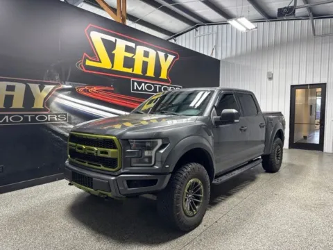 Gray 2019 Ford F-150 Raptor for sale in Mayfield, KY
