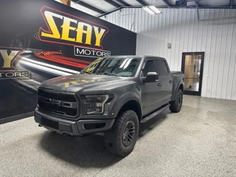 Gray 2019 Ford F-150 Raptor for sale in Mayfield, KY