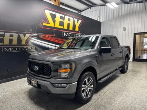 Gray 2023 Ford F-150 XL STX for sale in Mayfield, KY