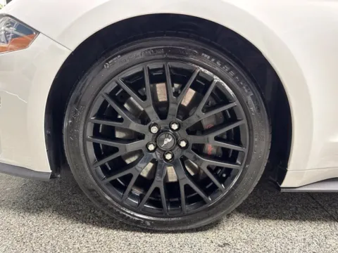 More photos of 2019 Ford Mustang GT Premium at Seay Motors, KY