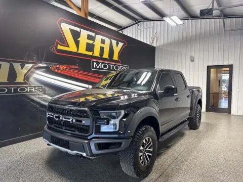 Black 2019 Ford F-150 Raptor for sale in Mayfield, KY
