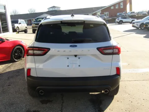 More photos of 2026 Ford Escape ST-Line at Pettijohn Auto Center, MO