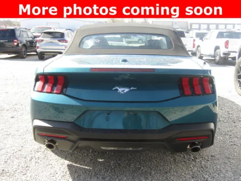 More photos of 2026 Ford Mustang EcoBoost at Pettijohn Auto Center, MO