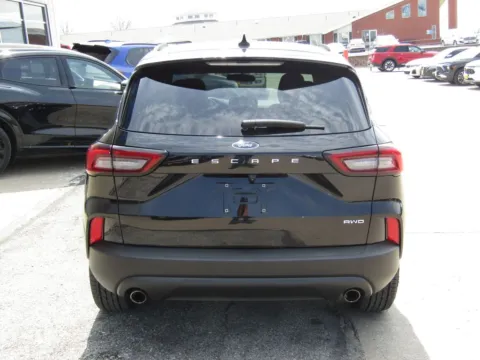 More photos of 2025 Ford Escape ST-Line at Pettijohn Auto Center, MO