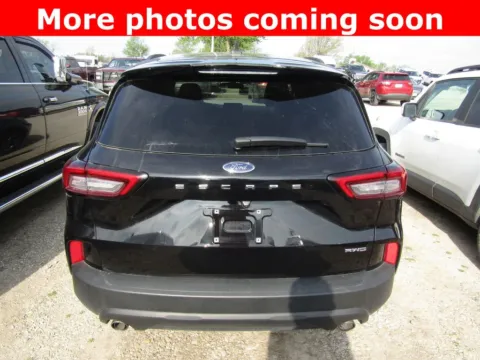 More photos of 2025 Ford Escape ST-Line at Pettijohn Auto Center, MO