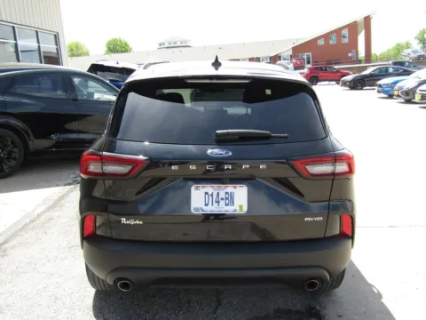 More photos of 2025 Ford Escape ST-Line at Pettijohn Auto Center, MO