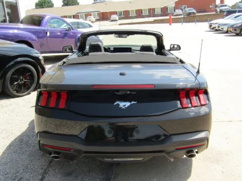 More photos of 2026 Ford Mustang EcoBoost at Pettijohn Auto Center, MO
