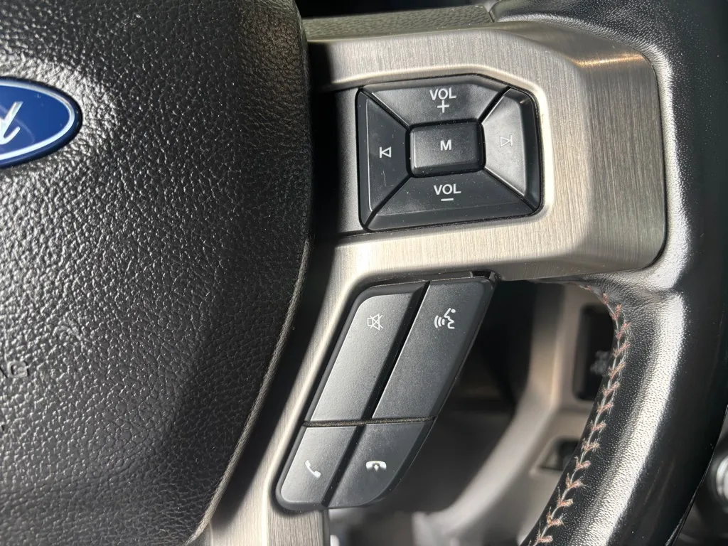 2019 Ford F-250 Super Duty Platinum - Photo 9