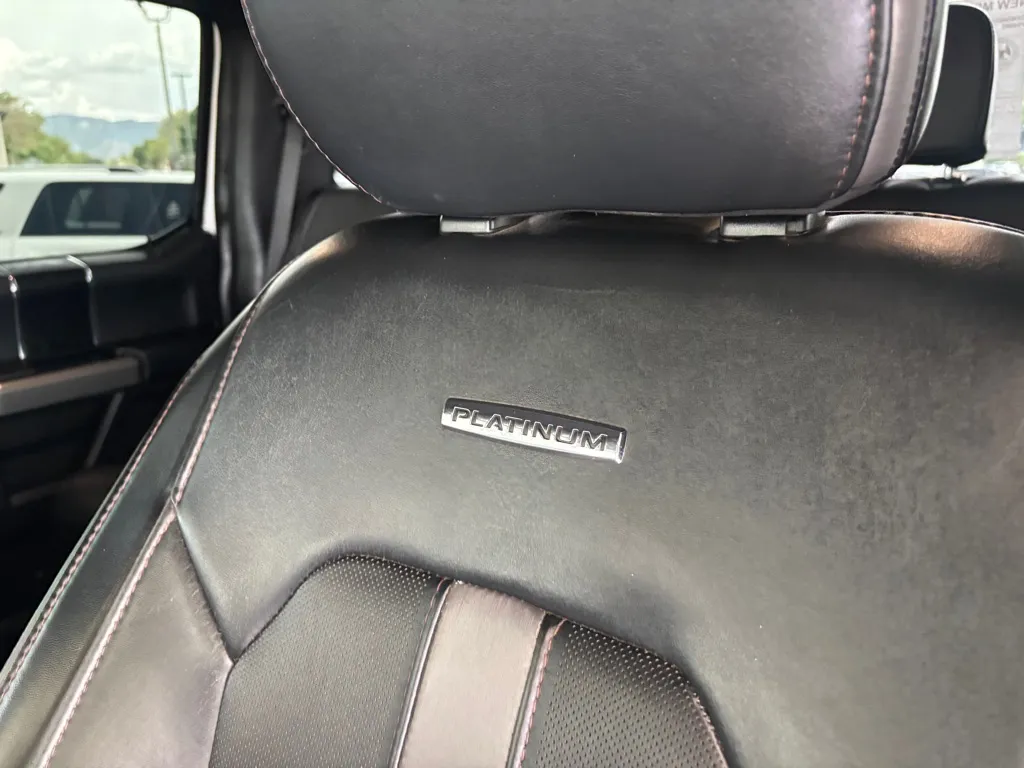 2019 Ford F-250 Super Duty Platinum - Photo 7