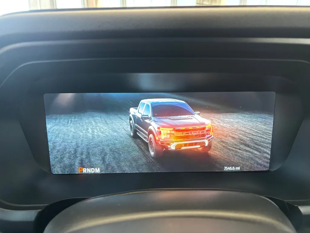 2024 Ford F-150 Raptor - Photo 12